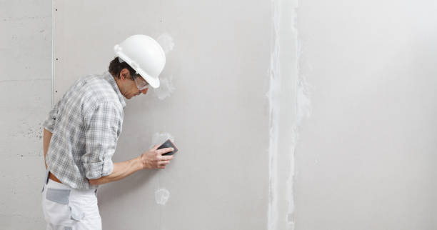 Best Mold Damage Restoration  in Waterville, NY