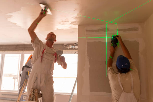  Waterville, NY Mold Removal Pros